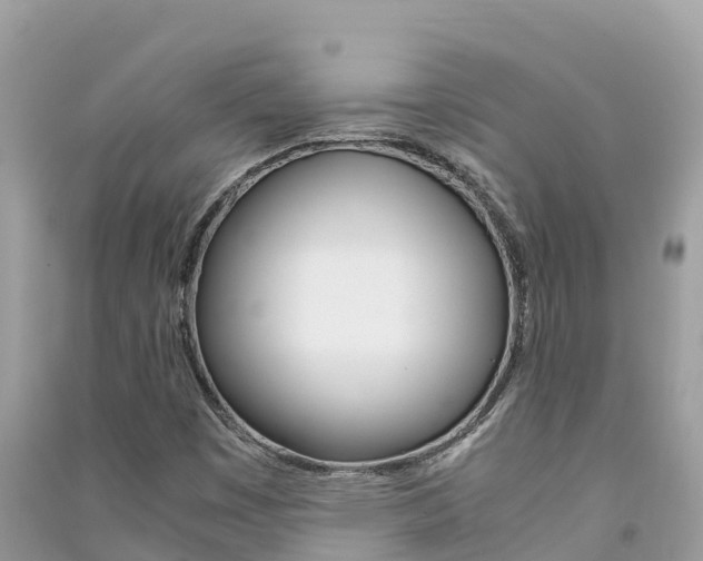 X0000091301449200708101037