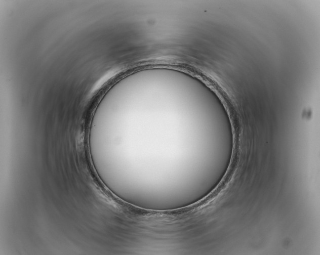 X0000091301450200708101037