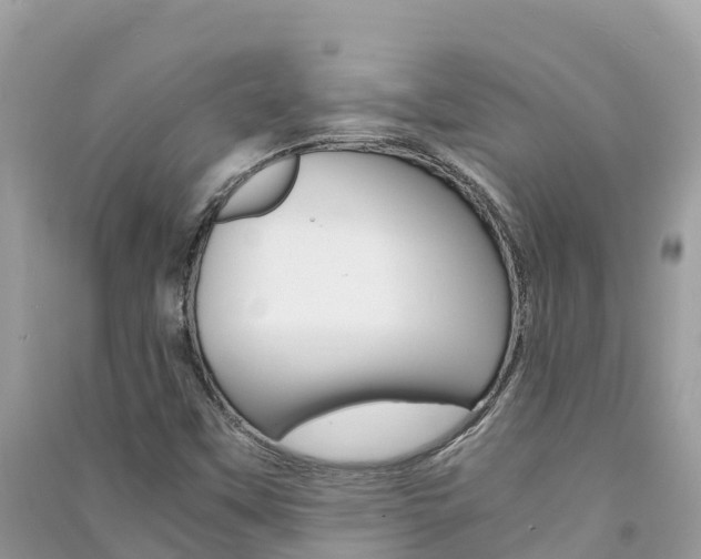 X0000091301451200708101037