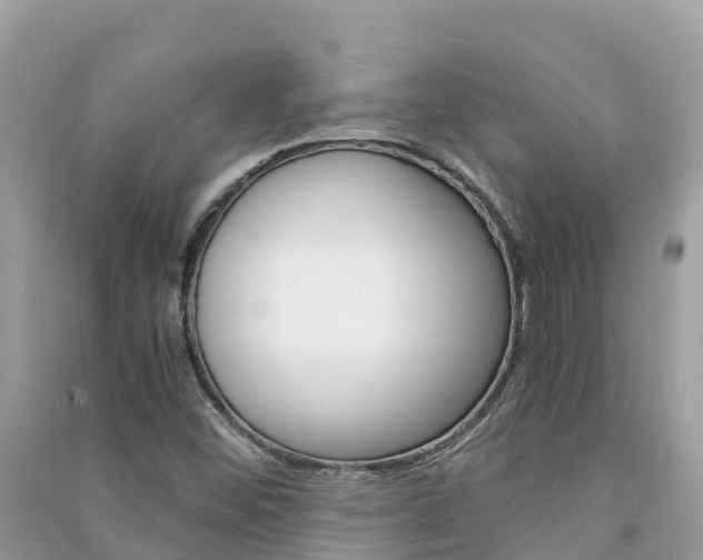 X0000091301452200708101037