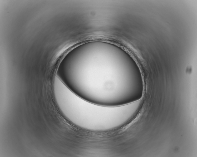 X0000091301453200708101037