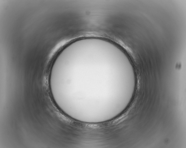 X0000091301454200708101037