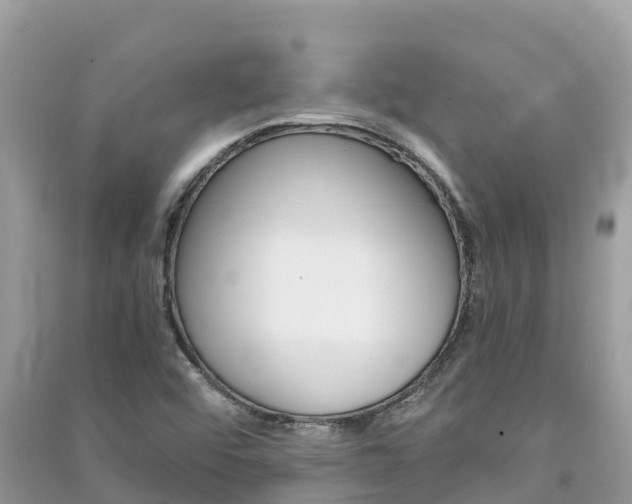 X0000091301456200708101037