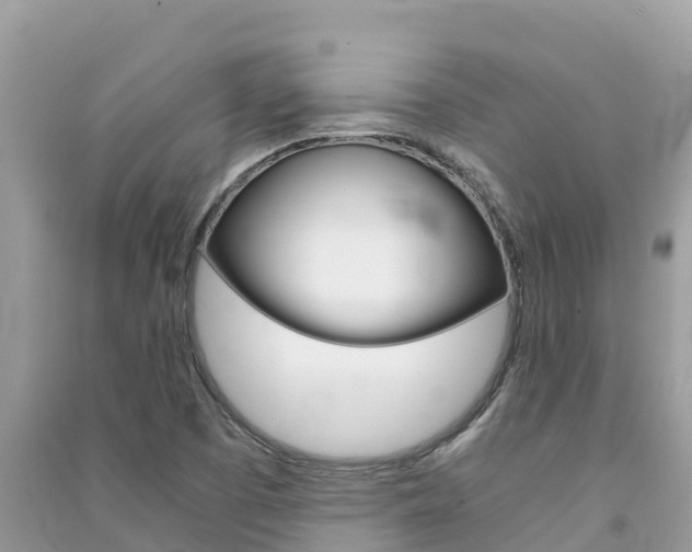 X0000091301457200708101037