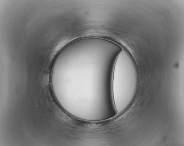 X0000091301459200708101037