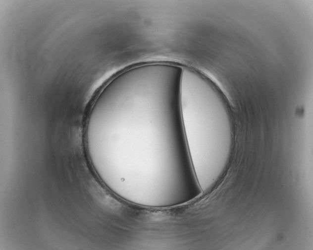 X0000091301460200708101037