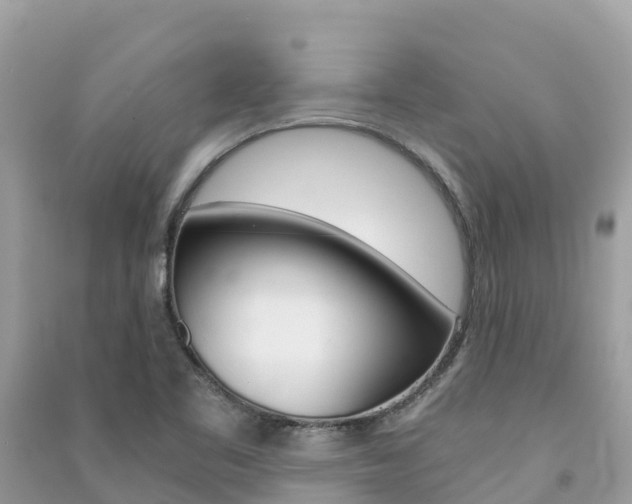 X0000091301461200708101037