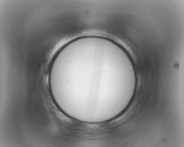 X0000091301462200708101037
