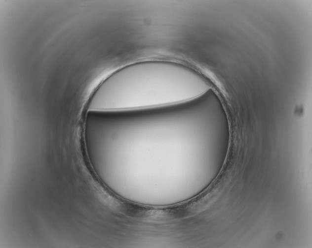 X0000091301463200708101037