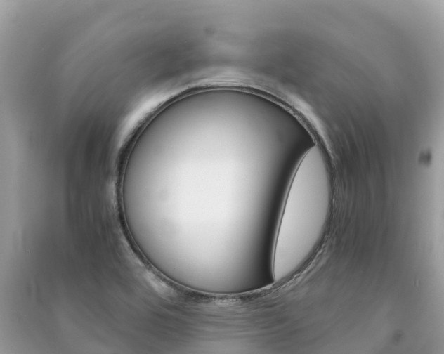 X0000091301464200708101037