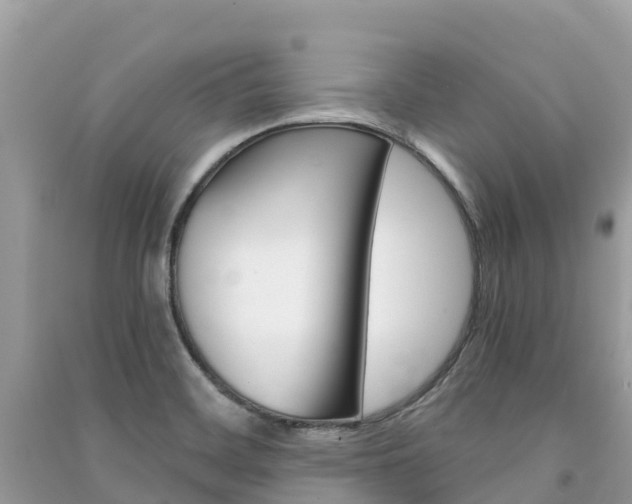 X0000091301468200708101037