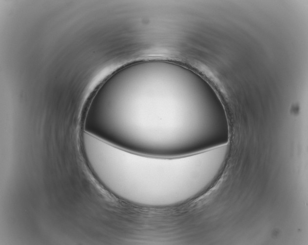 X0000091301469200708101037