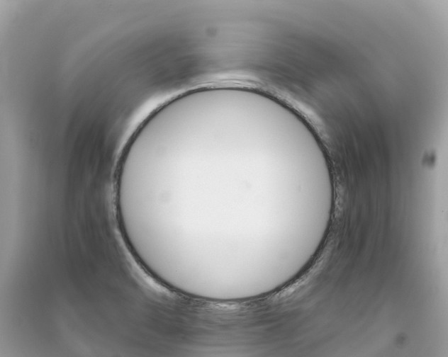 X0000091301470200708101037