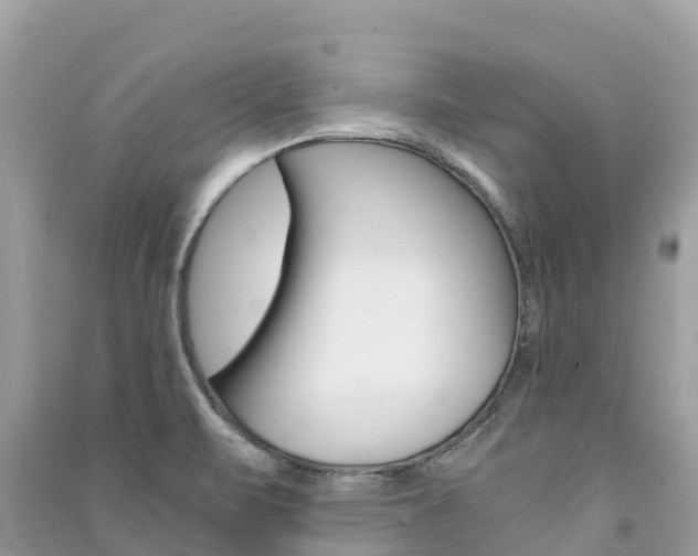 X0000091301471200708101037