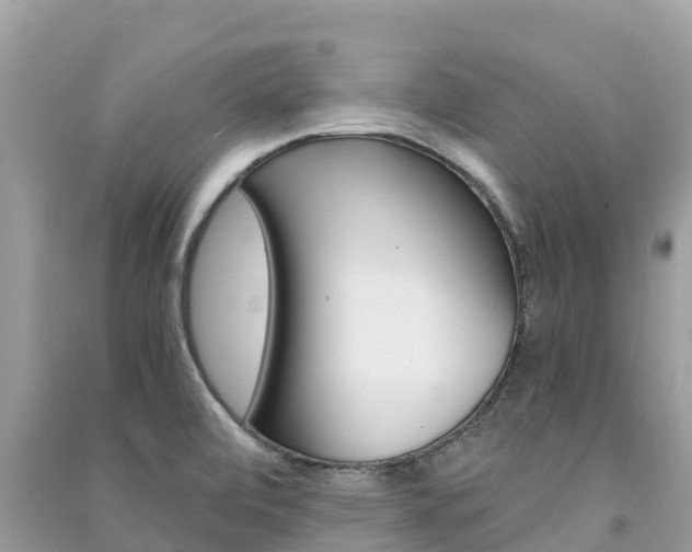 X0000091301472200708101037