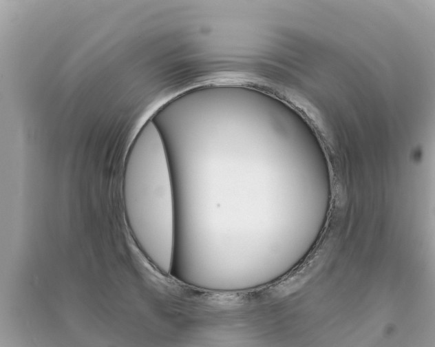 X0000091301473200708101037