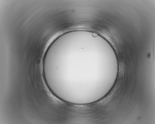 X0000091301474200708101037