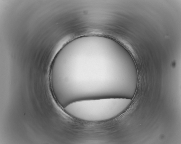 X0000091301475200708101037