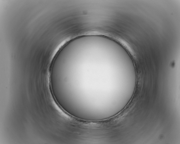 X0000091301476200708101037