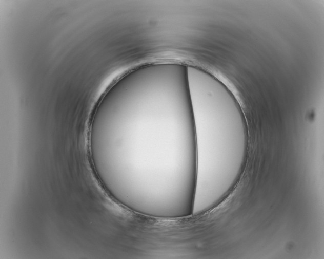 X0000091301477200708101037