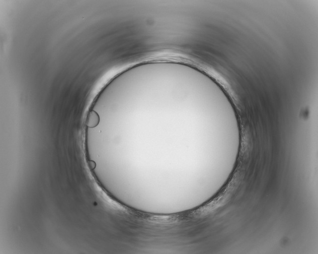 X0000091301478200708101037