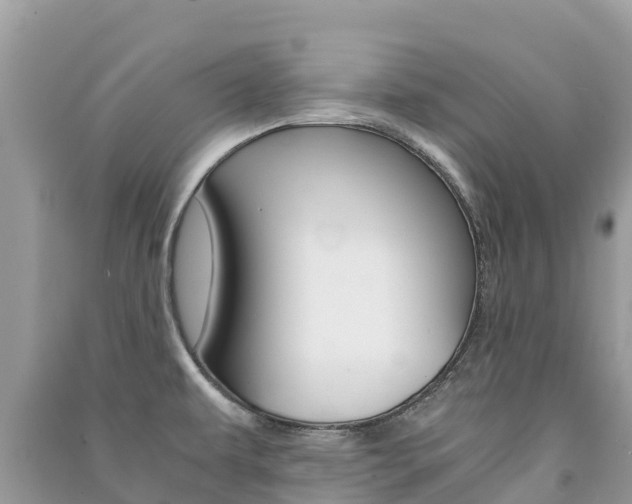 X0000091301479200708101037