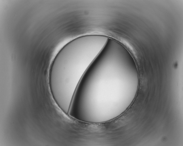 X0000091301480200708101037