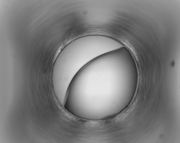X0000091301481200708101037
