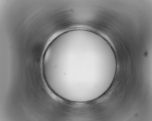 X0000091301482200708101037