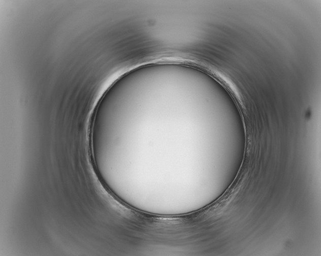 X0000091301483200708101037