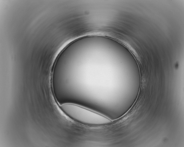 X0000091301484200708101037