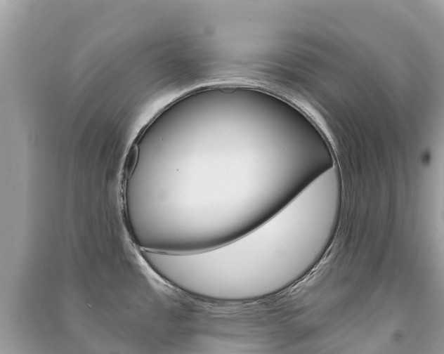 X0000091301485200708101037