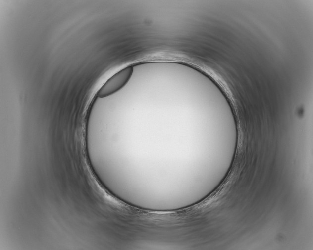 X0000091301486200708101037