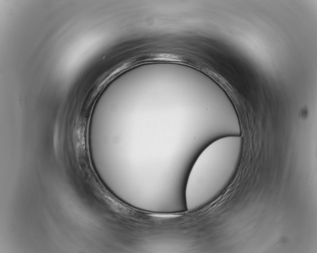 X0000091301487200708101037