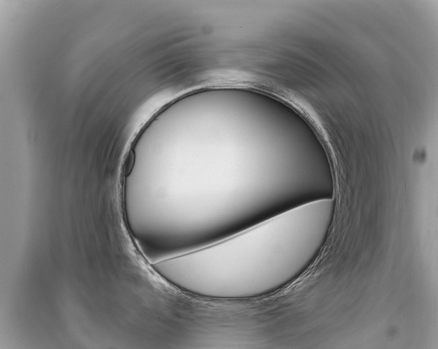 X0000091301488200708101037