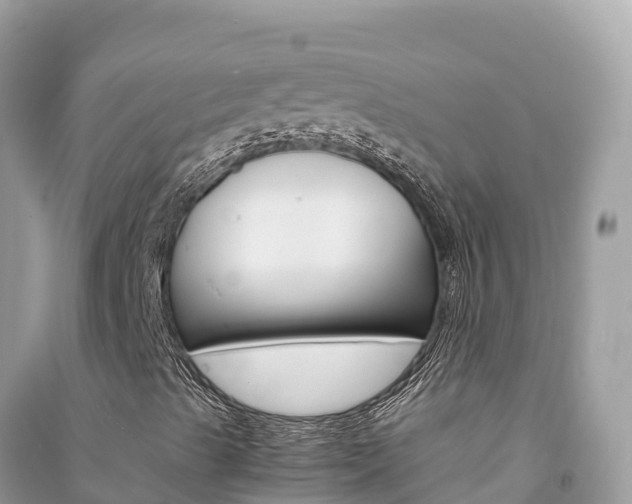 X0000091301489200708101036