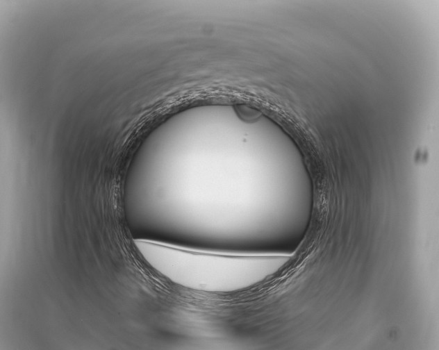 X0000091301490200708101036