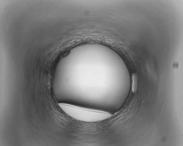 X0000091301491200708101036