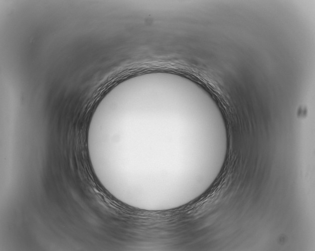 X0000091301492200708101036