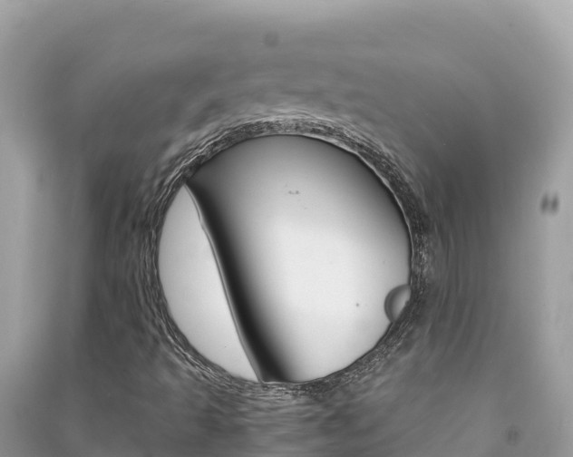 X0000091301493200708101036