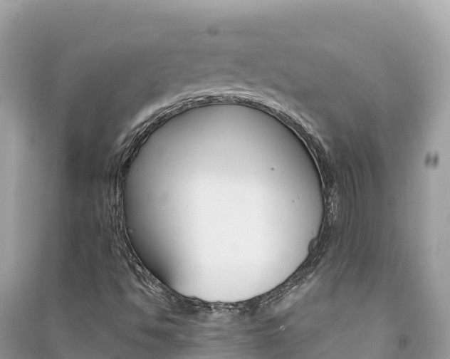 X0000091301494200708101036