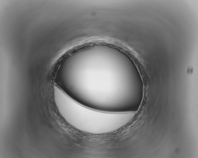 X0000091301496200708101036