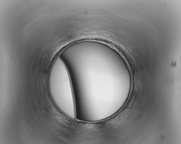 X0000091301497200708101036