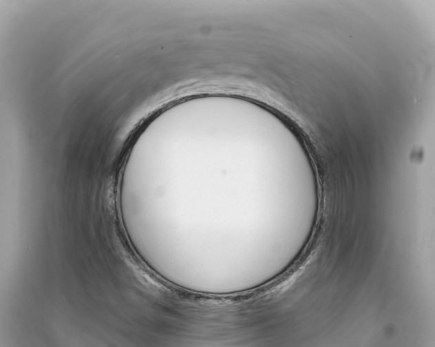 X0000091301498200708101036