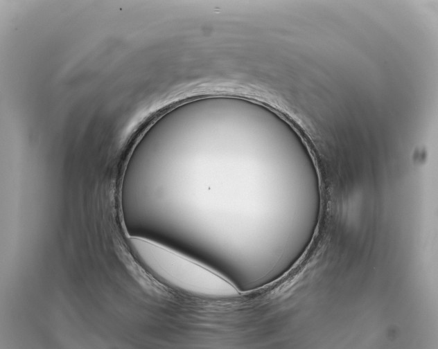 X0000091301499200708101036