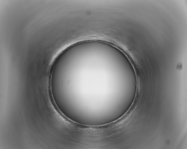 X0000091301500200708101036
