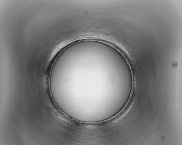 X0000091301501200708101036