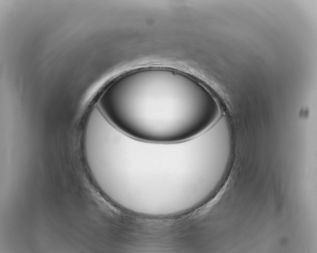 X0000091301502200708101036