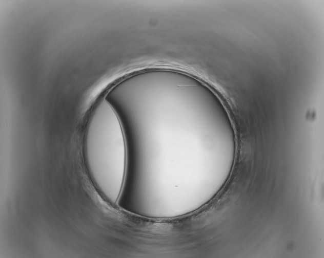 X0000091301503200708101036