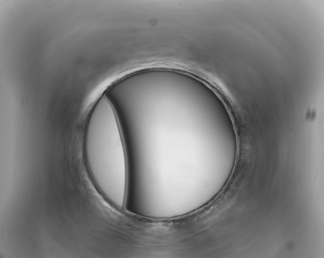 X0000091301504200708101037